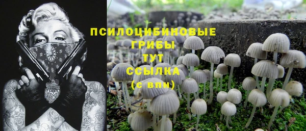 прущая мука Куйбышев