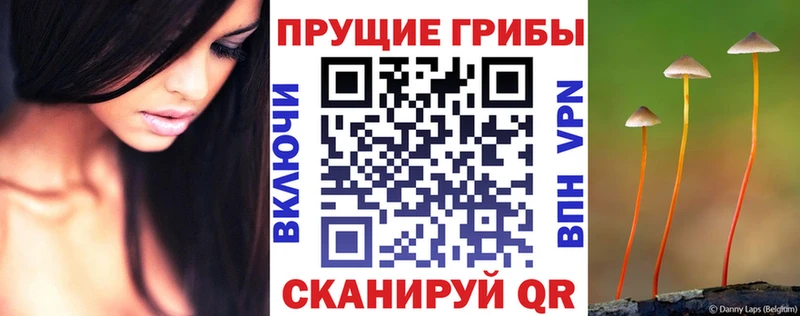 Псилоцибиновые грибы мицелий  как найти   ОМГ ОМГ вход  Киров 