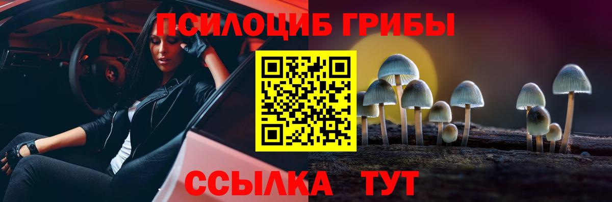 Псилоцибиновые грибы мицелий  купить наркотик  Киров 