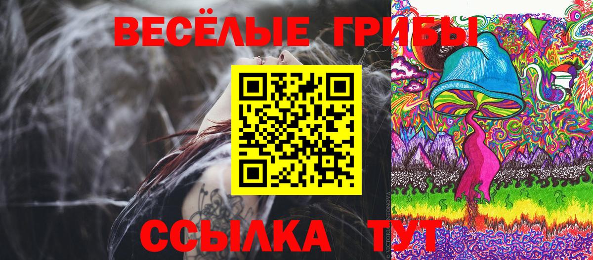 Псилоцибиновые грибы MAGIC MUSHROOMS  Галлюциногенные грибы MAGIC MUSHROOMS  Киров  Вход с VPN 